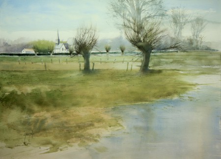 Saules têtards à Favières 75x55